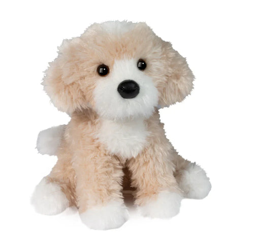 Darcy the Goldendoodle