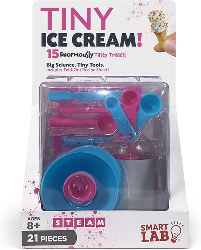 Tiny Ice Cream Set