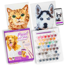 Pets Paint by Number Portrait