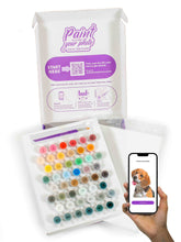 Pets Paint by Number Portrait