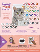 Pets Paint by Number Portrait