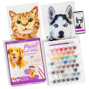 Pets Paint by Number Portrait