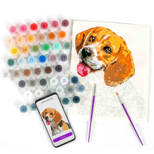 Pets Paint by Number Portrait