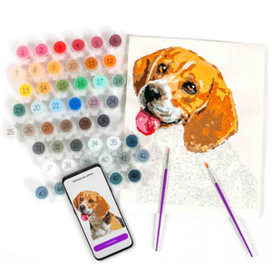 Pets Paint by Number Portrait